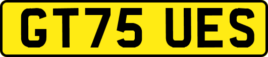 GT75UES