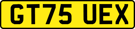 GT75UEX