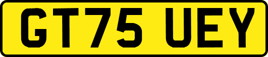 GT75UEY