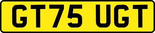 GT75UGT