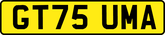 GT75UMA