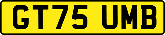GT75UMB