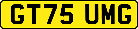 GT75UMG