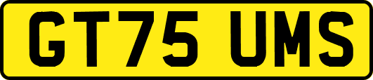 GT75UMS