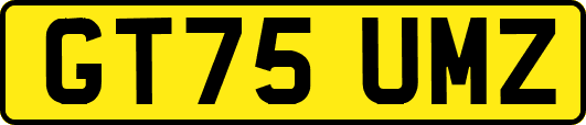 GT75UMZ