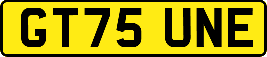 GT75UNE