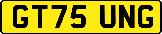 GT75UNG