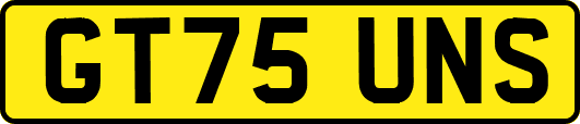 GT75UNS