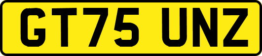 GT75UNZ