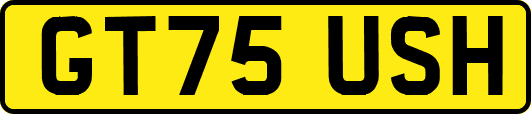GT75USH