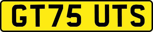 GT75UTS