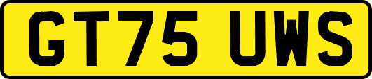 GT75UWS