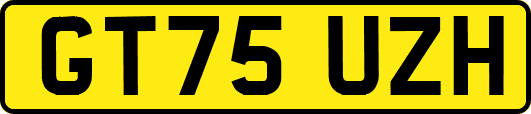 GT75UZH