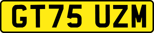 GT75UZM