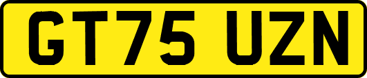 GT75UZN
