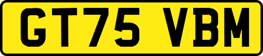 GT75VBM