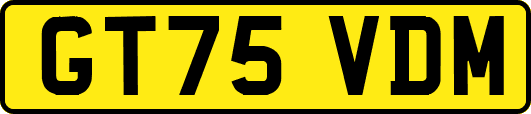 GT75VDM