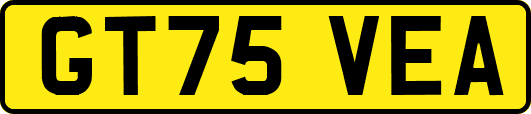 GT75VEA