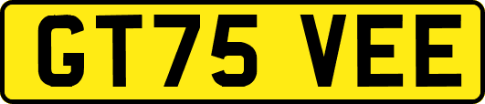 GT75VEE