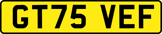 GT75VEF