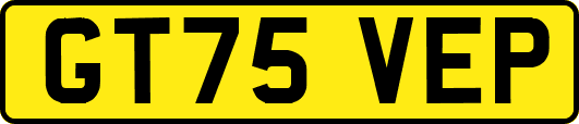 GT75VEP