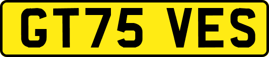 GT75VES