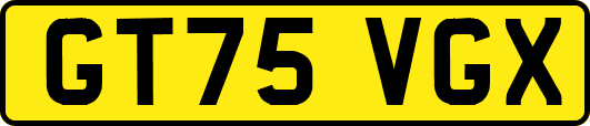GT75VGX