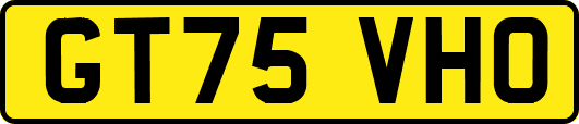GT75VHO