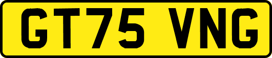 GT75VNG