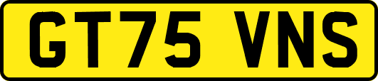 GT75VNS