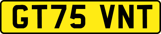 GT75VNT