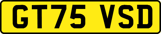 GT75VSD