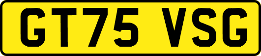 GT75VSG