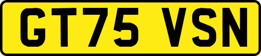 GT75VSN