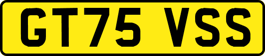 GT75VSS
