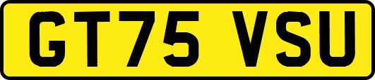 GT75VSU