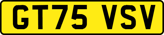 GT75VSV