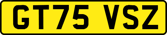 GT75VSZ