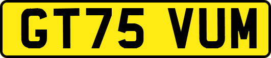 GT75VUM