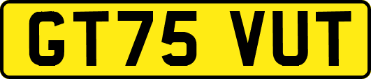 GT75VUT