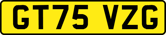 GT75VZG