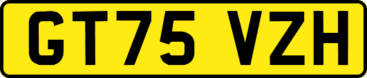 GT75VZH