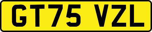 GT75VZL