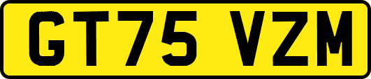 GT75VZM