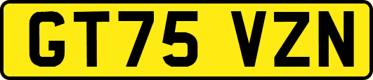 GT75VZN