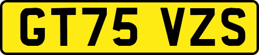 GT75VZS