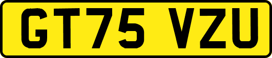 GT75VZU