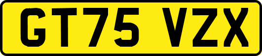 GT75VZX