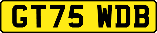 GT75WDB