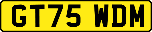 GT75WDM